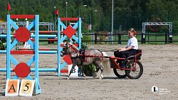 17-летняя челябинка сотворила сенсацию на Кубке губернатора по конкуру