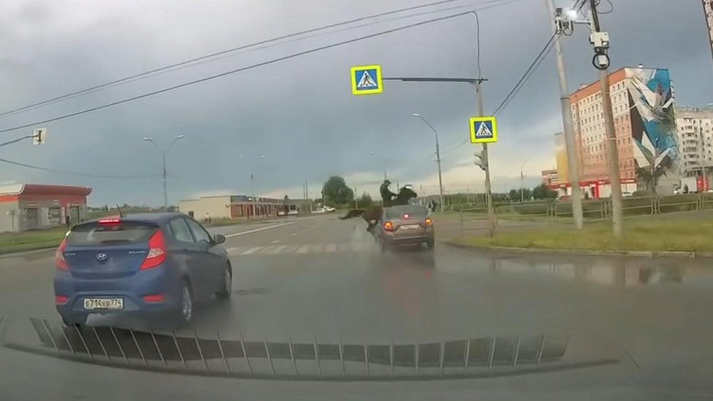 В Магнитогорске автомобиль сбил всадника на лошади на пешеходном переходе