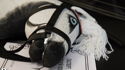 Челябинцы занимаются паделом, хоббихорсингом и шахбоксом 