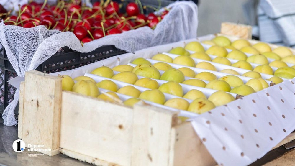 В Челябинскую область не пустили 80 тонн абрикосов и нектаринов