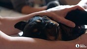 С начала лета челябинцы стали больше заботиться о своих питомцах