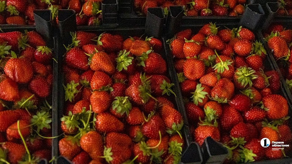 Челябинцам рассказали, как правильно выбрать клубнику