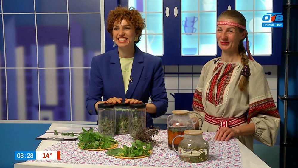 В чём польза мяты? — Гость в студии