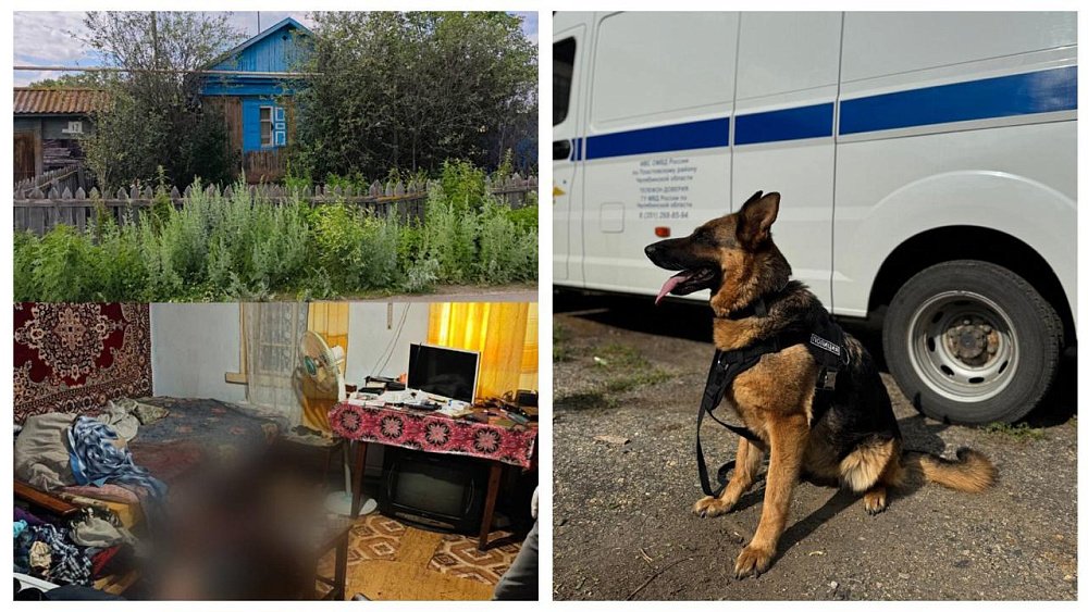 Овчарка Цитадель за 10 минут вывела полицейских Пласта на след убийцы