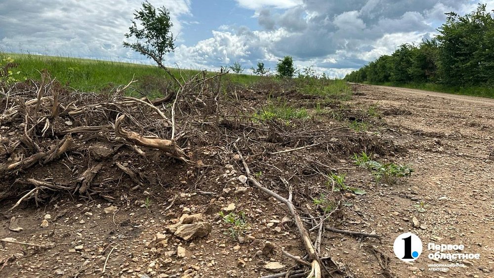 На юге Челябинской области ищут деньги для уборки обочины проселочной дороги
