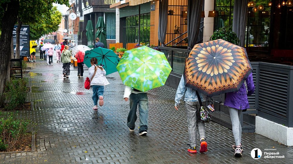 Кратковременные дожди с градом пройдут в Челябинской области 29 июня