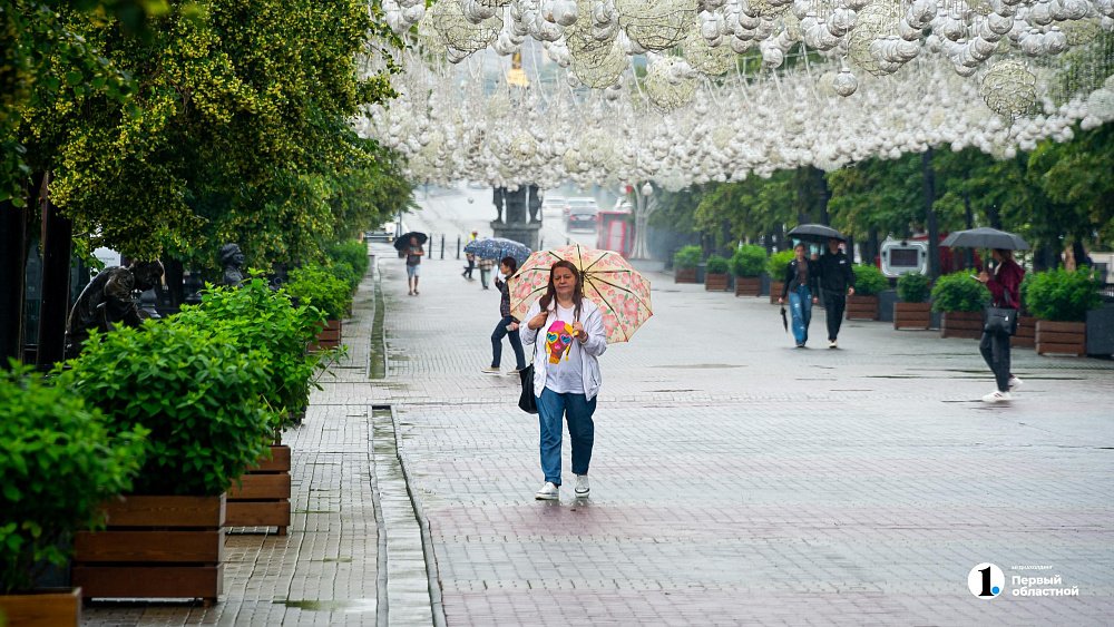 Небольшой дождь пройдет в Челябинске в первой половине дня 30 июня