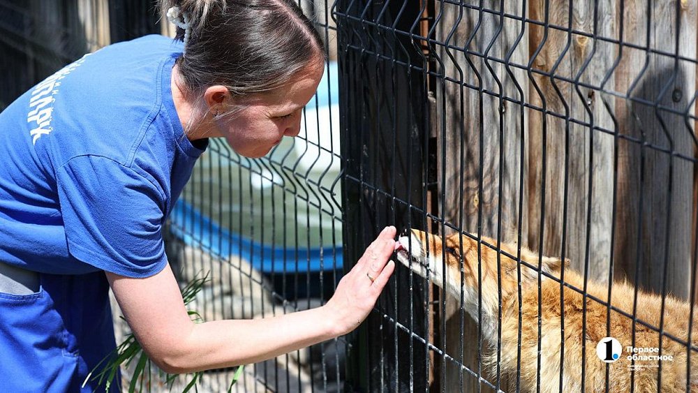 «В зоопарке нет места тем, кто не любит зверей»: челябинка о работе с хищниками