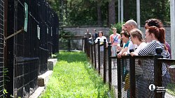 «В зоопарке нет места тем, кто не любит зверей»: челябинка о работе с хищниками