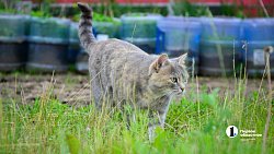 В Челябинской области зреет рекордный урожай ягод и яблок