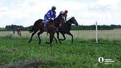 Сабантуй-2025 в Челябинской области установил новый рекорд посещаемости