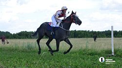 Сабантуй-2025 в Челябинской области установил новый рекорд посещаемости