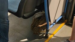 Александр Егоров поручил вымыть полы и убрать швабры из транспорта в Челябинске