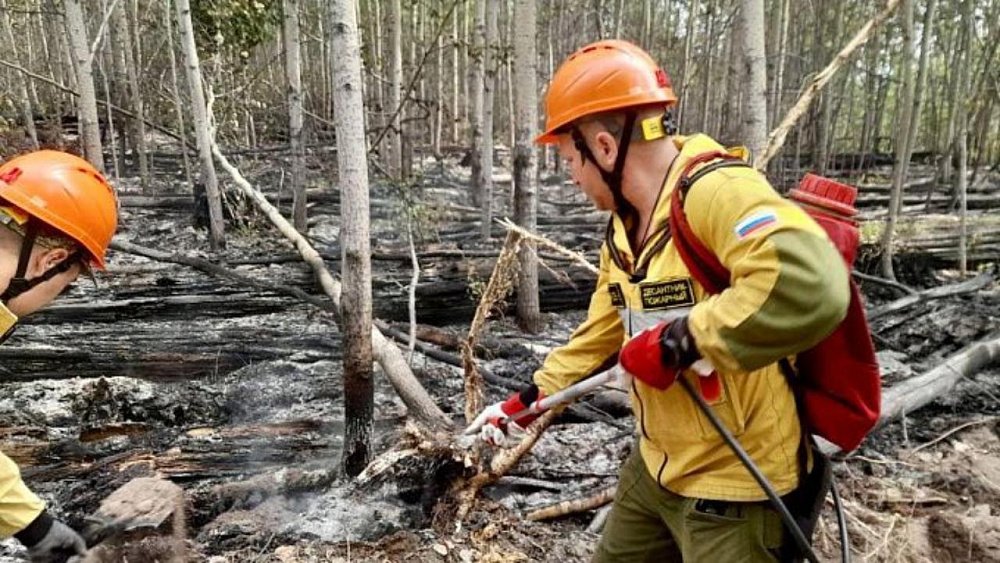 В Бурятии за последние сутки разразилось 9 лесных пожаров из‑за молний