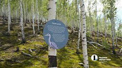 В Карабаше прошел летний фестиваль на новой набережной озера Серебры