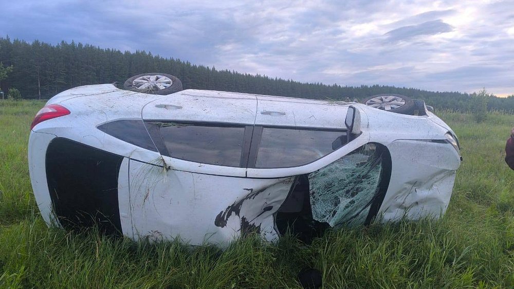В Челябинской области автомобилист насмерть сбил лося и погиб сам