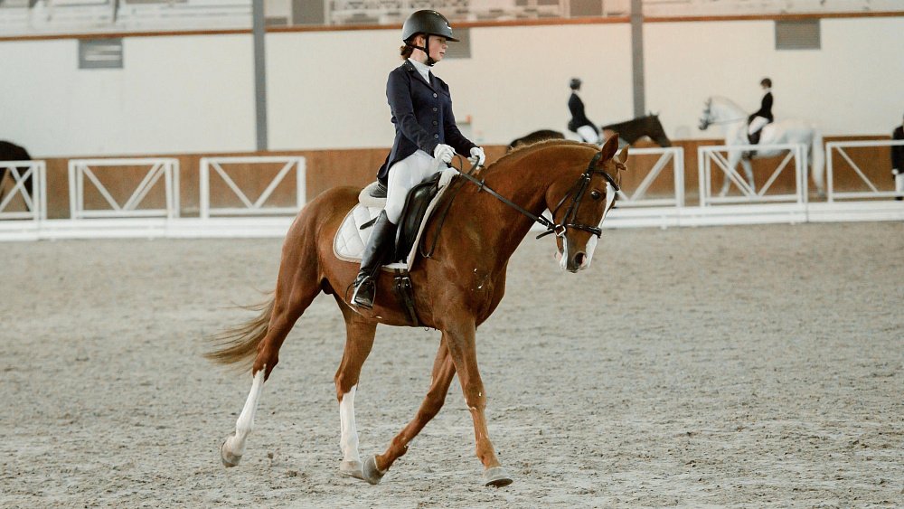 Челябинские спортсменки стали призерами всероссийского турнира по конному спорту