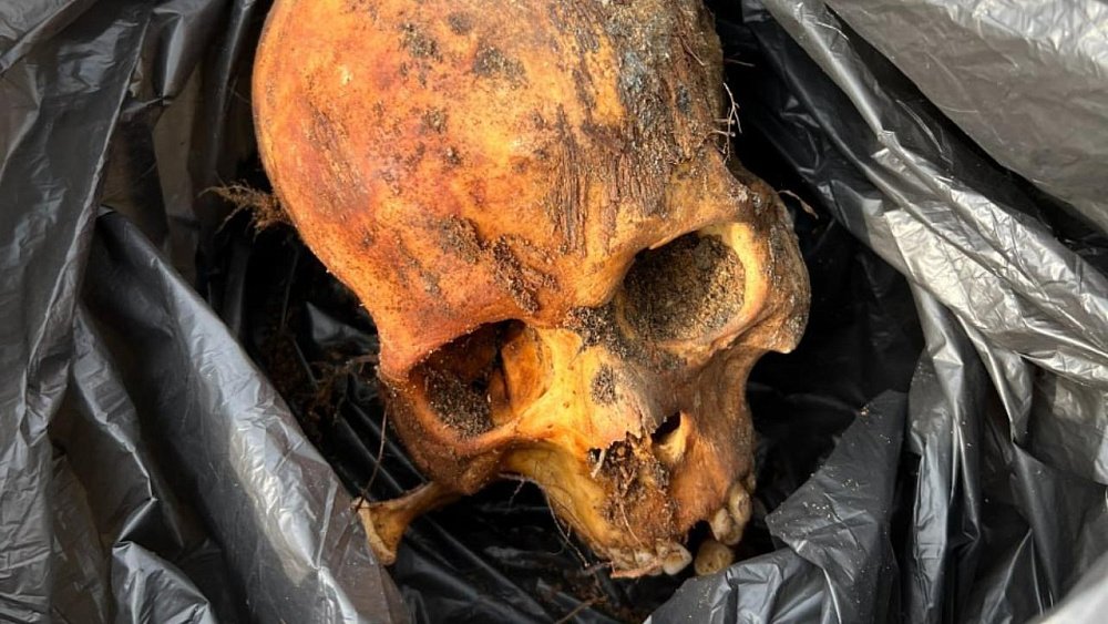 В Челябинске на площади Искусств с 1996 года находят скелеты людей