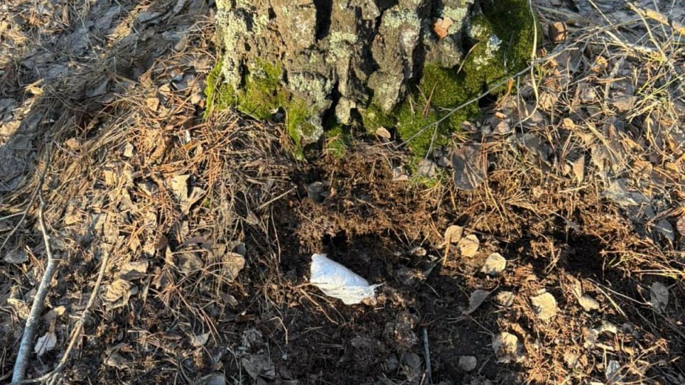 Девушка-дилер из Свердловской области возила наркотики в Челябинск и Курган