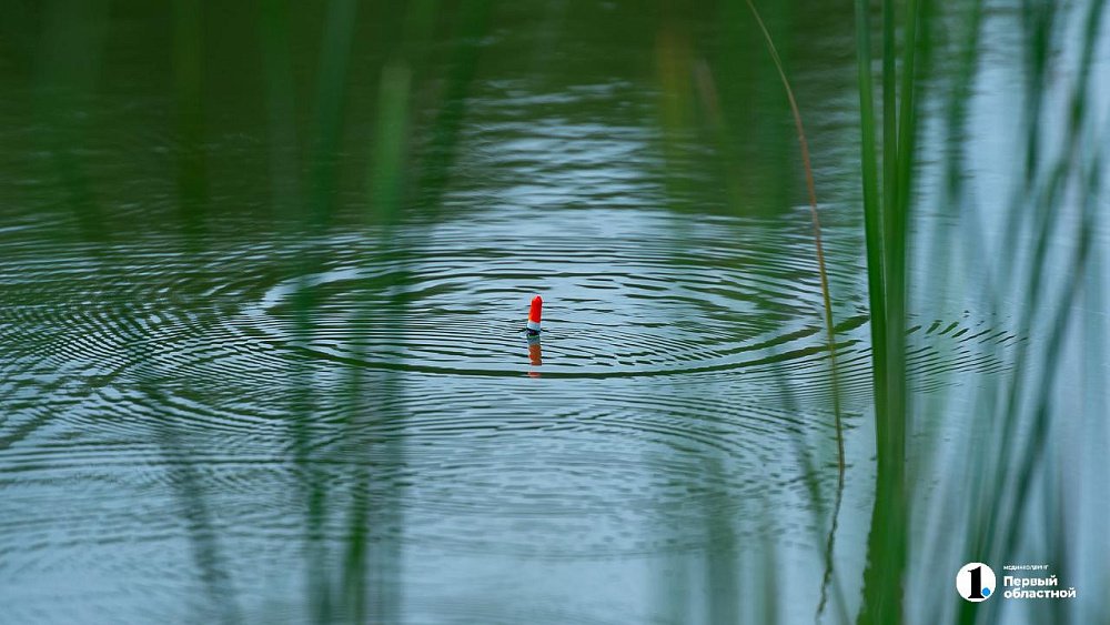 Челябинские рыбаки отмечают профессиональный праздник