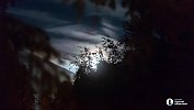 В ночь на 14 июля в Челябинской области похолодает до +4°C