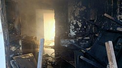 Инвалид-колясочник погиб на пожаре в Кизильском районе