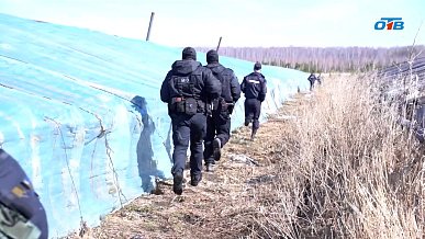 В Челябинске ликвидирован крупнейший наркокартель