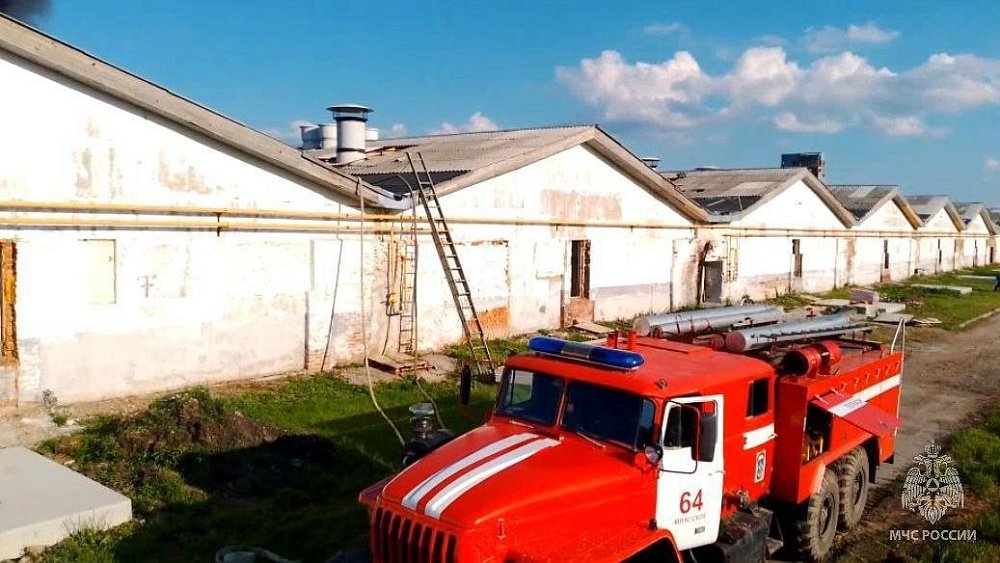 Под Челябинском загорелся свинокомплекс