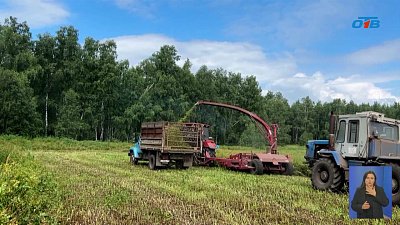 В Чебаркуле началась заготовка кормов для животных