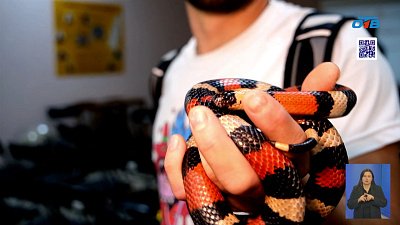 В Миассе прошла лекция о змеях Южного Урала