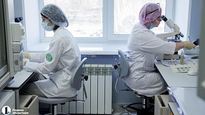 Каждый четвертый клещ в Челябинской области заражен боррелиозом