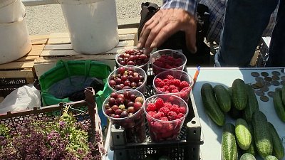 Продажа урожая с огорода может обернуться штрафом