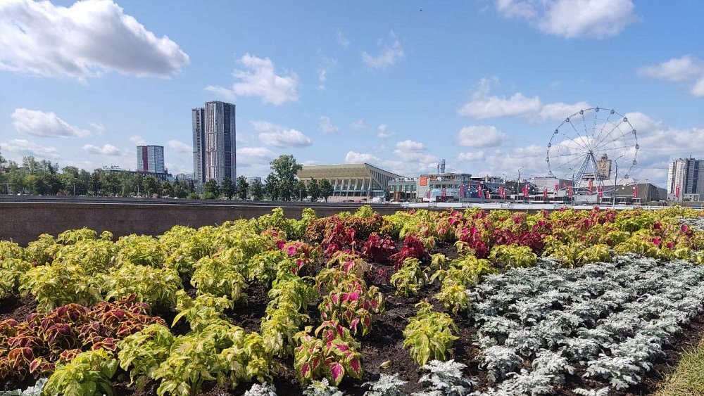 Более 5500 саженцев высадили на набережной Челябинска