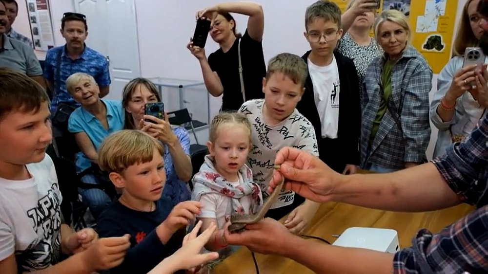 Как вести себя при встрече со змеей