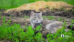 В Челябинской области студенты со всего Урала учатся выращивать фрукты и ягоды