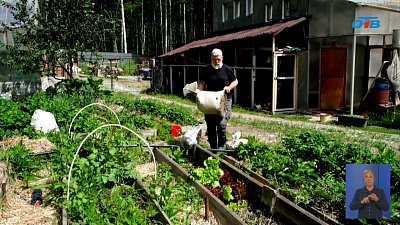 Миасский фермер превратил навоз в «золото»