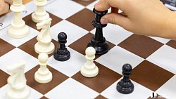 Шахматы переживают очередную молодость в Челябинской области