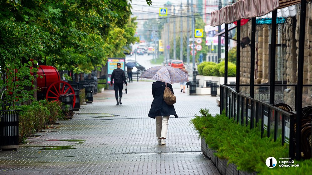 Дожди с грозами вернутся в Челябинскую область на предпоследней неделе июля