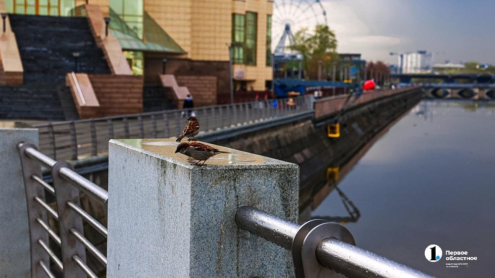 Небольшие дожди пройдут местами в Челябинской области 22 июля