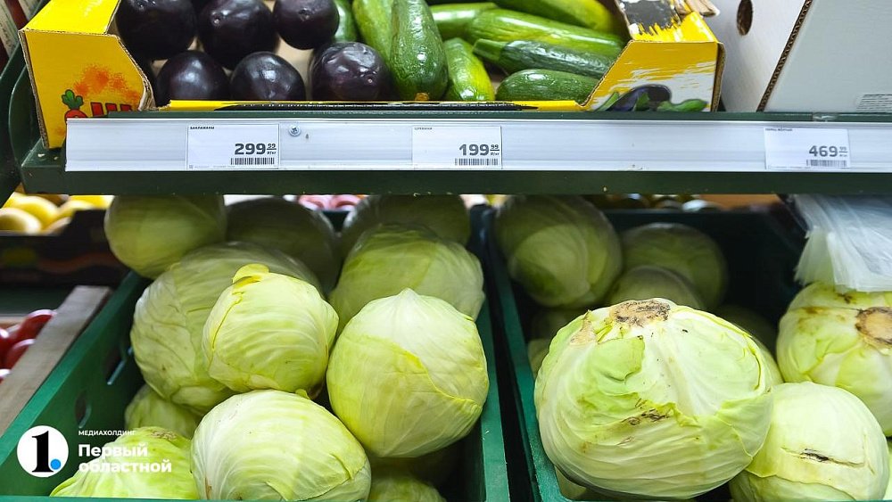 Пекинская капуста не завязывает кочан: ищем причины