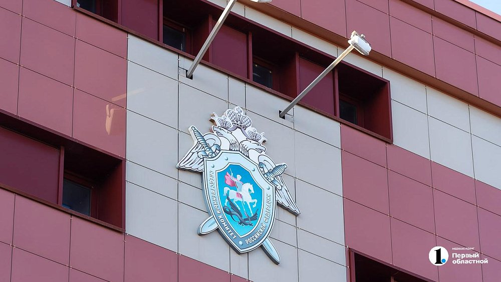 Под Челябинском подростки выстрелили в мужчину из пневматики после замечания