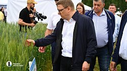 Алексей Текслер работает на Дне поля в Чебаркульском районе