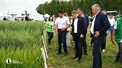 Алексей Текслер работает на Дне поля в Чебаркульском районе