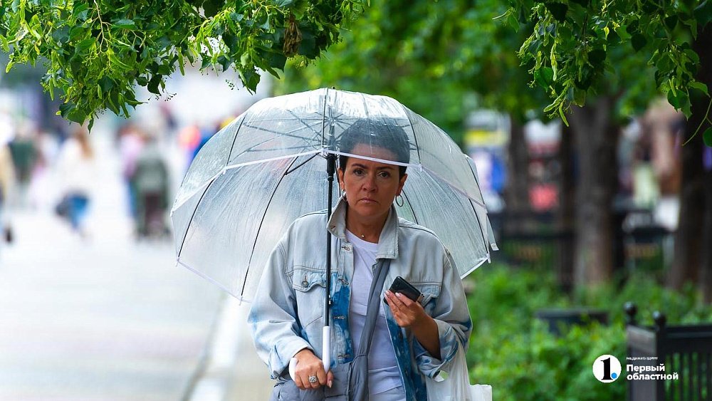 Теплая погода с ливнями и грозами ожидается в Челябинской области 24 июля