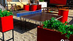 Бары Челябинска превращаются в культурные площадки, собирающие особое комьюнити