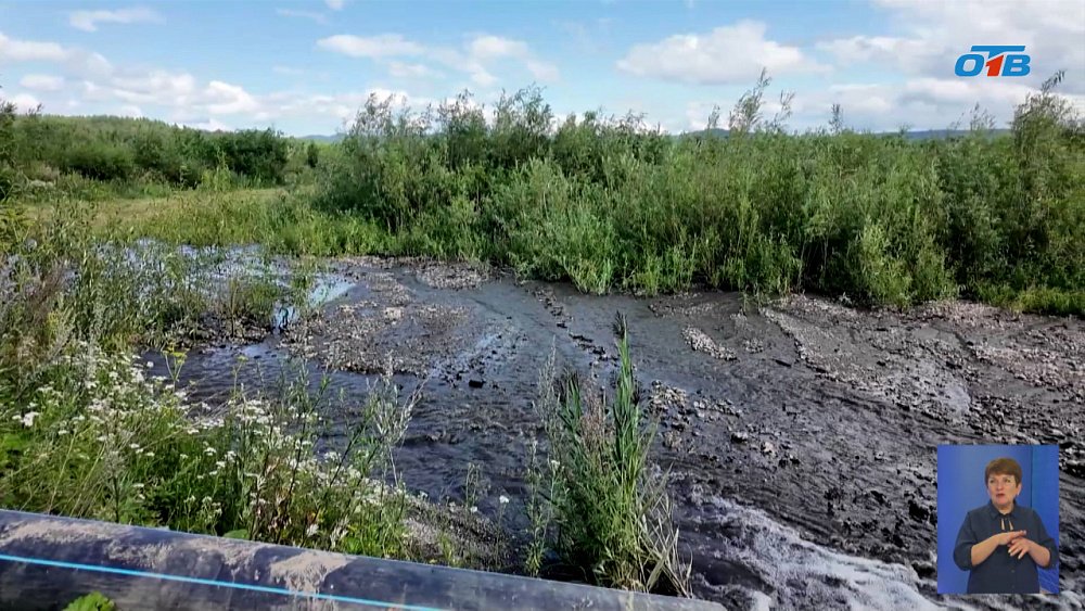 В Златоусте приступили к масштабной очистке пруда