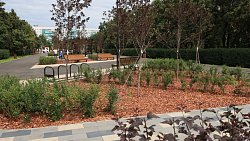 В Челябинске завершили благоустройство парка Курчатовского района