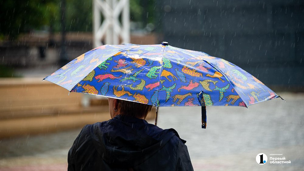 Кратковременные дожди сохранятся в Челябинской области в последние выходные июля