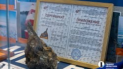 «Не ходите в лес в камуфляже»: челябинец о работе спасателя