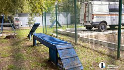 «Не ходите в лес в камуфляже»: челябинец о работе спасателя